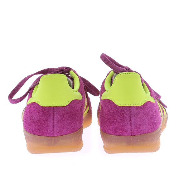 Gazelle violettes