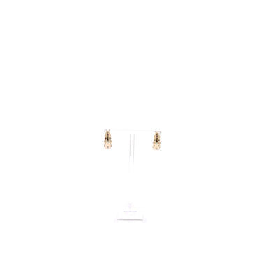 Boucles d'oreilles "Crystal Bay Hoop" plaqués or