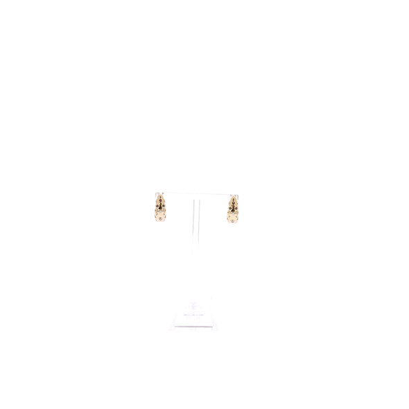 Boucles d'oreilles "Crystal Bay Hoop" plaqués or
