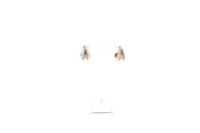 Boucles d'oreilles "Hera Dome Double Ridge"