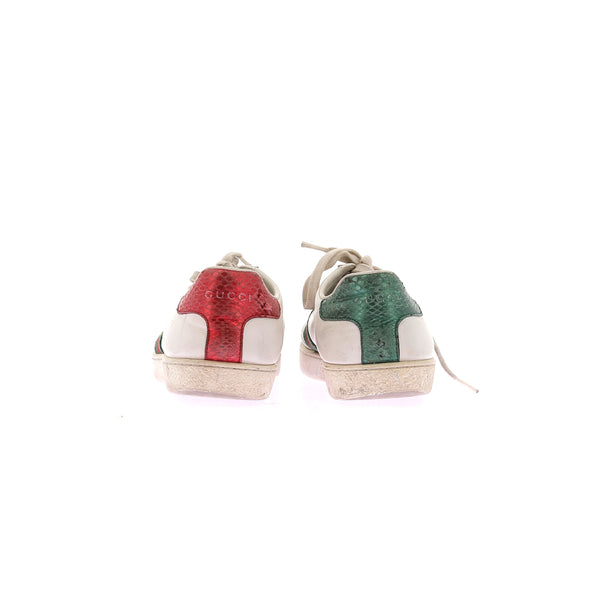 Baskets en cuir "Ace"
