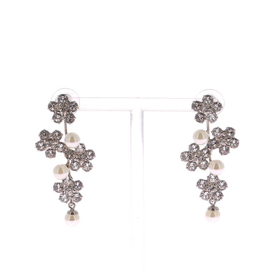 Boucles d'oreilles argentées