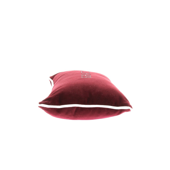 Coussin en velours