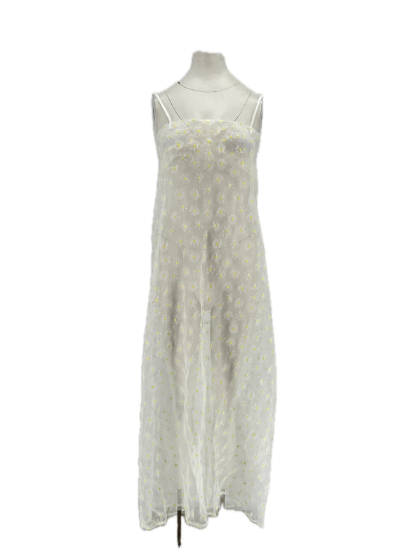 Robe transparente imprimée