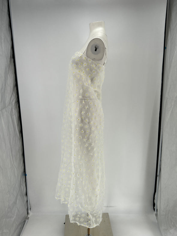 Robe transparente imprimée