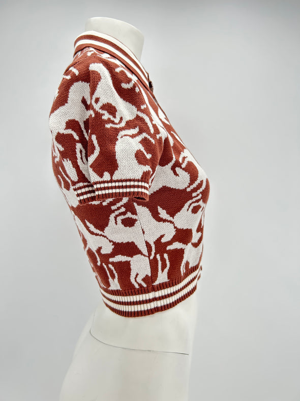 Polo marron