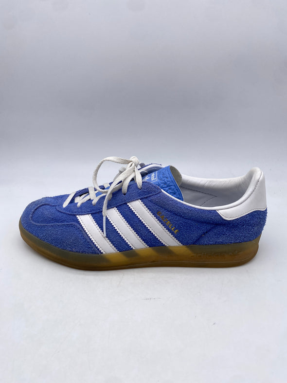 Gazelle bleues