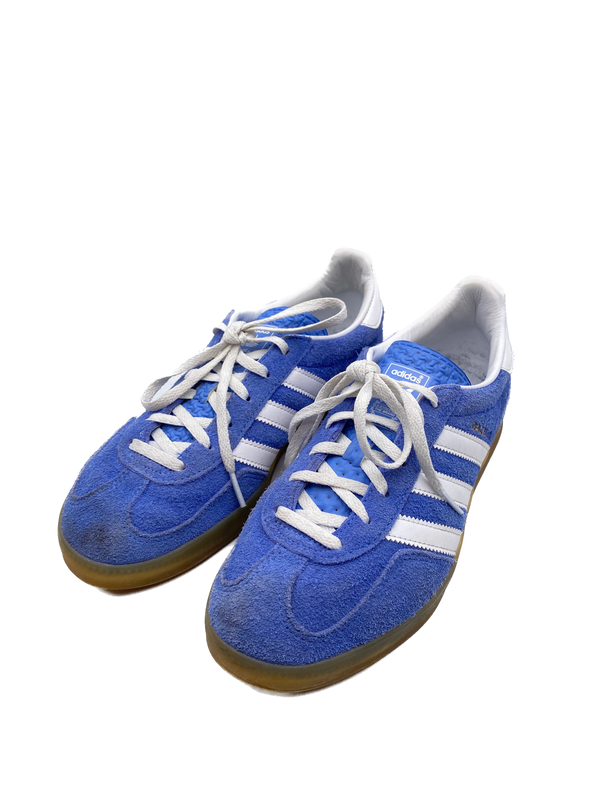 Gazelle bleues