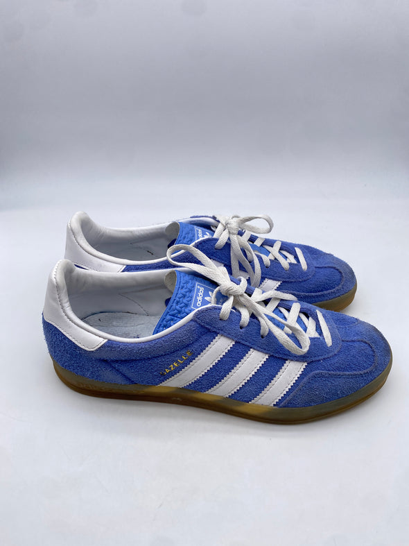 Gazelle bleues