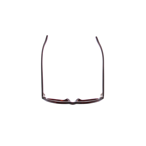 Lunettes de soleil en écailles