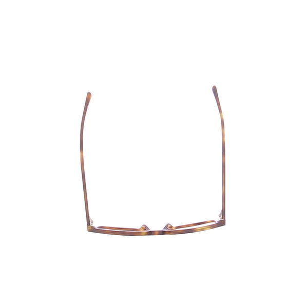 Lunettes de soleil écailles