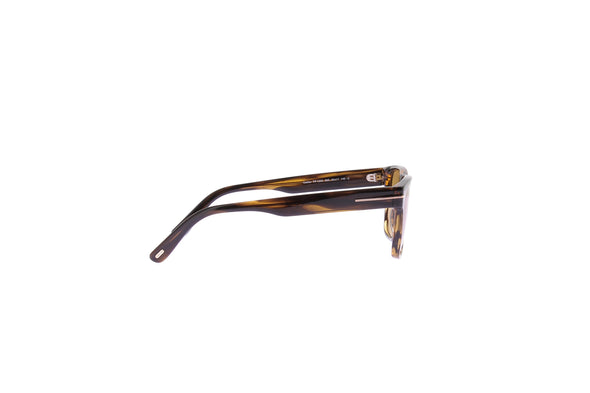 Lunettes de soleil écailles