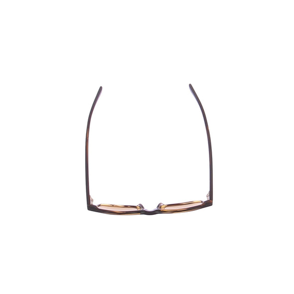 Lunettes de soleil écailles