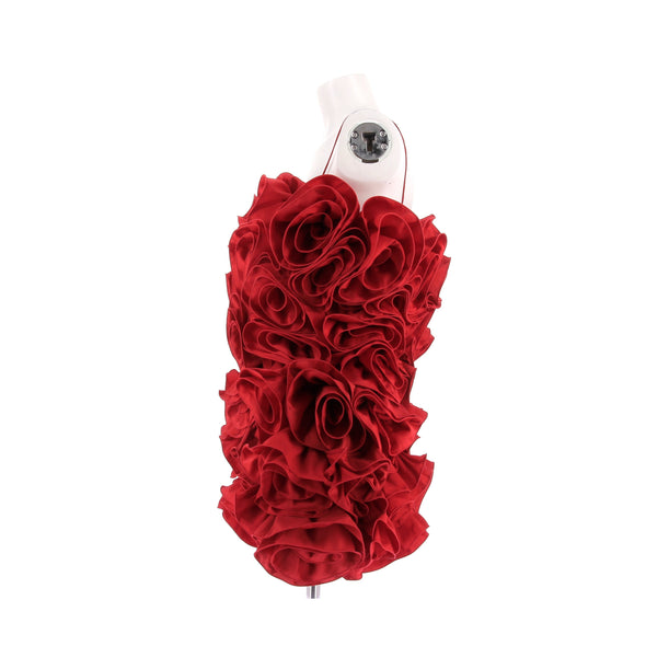 Robe ébouriffée rouge