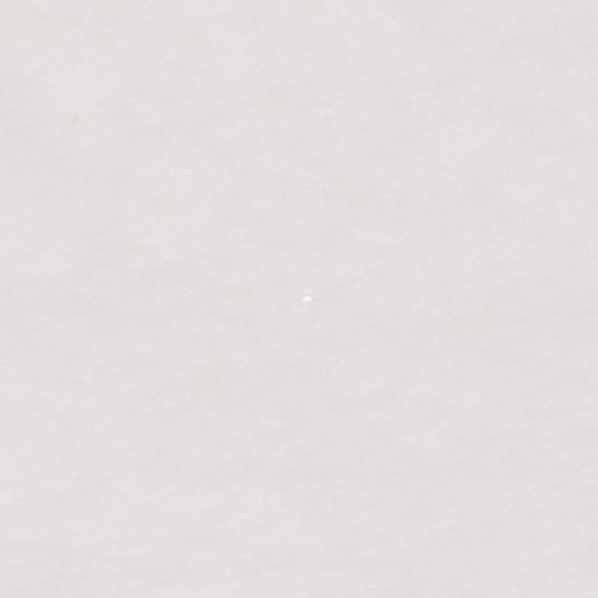 Tee-shirt blanc