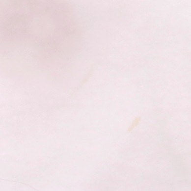 Tee-shirt blanc