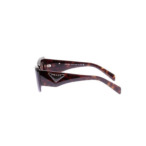 Lunettes de soleil écailles